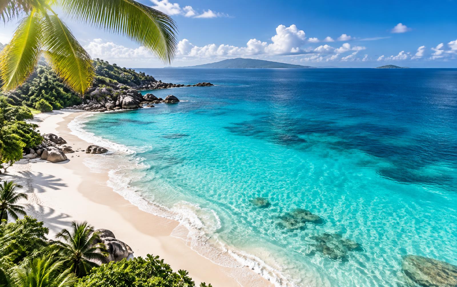 Turquoise ocean meeting white sand beach framed by palm fronds